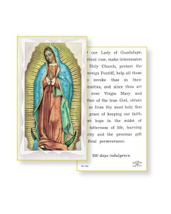 Our Lady of Guadalupe Holy Card