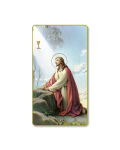 Christ in the Garden Holy Card