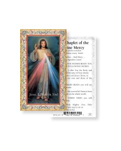 Divine Mercy Holy Card