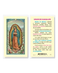 Virgen De Guadalupe Madre Holy Card
