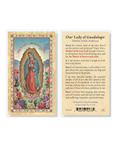Our Lady of Guadalupe - Mother Laminated Holy Card. Inc. of 25
