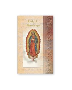 Biography of Our Lady of Guadalupe