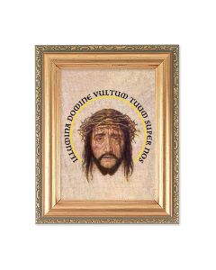 5.5" x 7" Antique Gold Frame with a Veronica's Veil Print