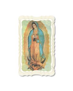 Ol  Of Guadalupe Holy Card