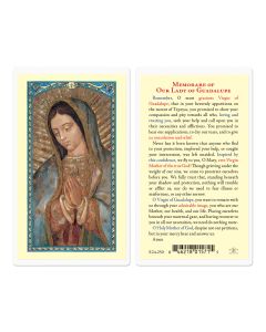 Our Lady of the Guadalupe Holy Card