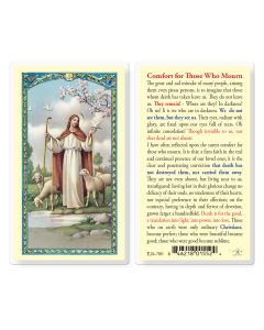 Comfort for Those Who Mourn Holy Card
