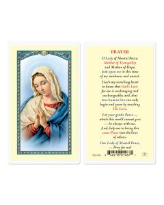 Our Lady of Mental Peace with Blessed Virgen Mary Holy Card