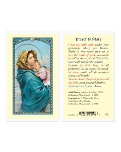 Prayer to Mary the Madonna of the Street Holy Card