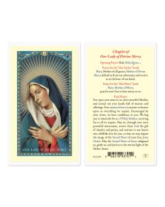 Chaplet of Our Lady of Divine Mercy Holy Card