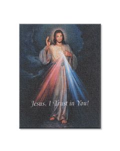 8" x 10" Divine Mercy Canvas Print