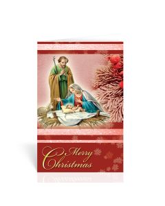 Holy Family with Manger and Frosted Evergreen Berries Christmas Greeting Cards Boxed