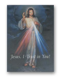 12" x 16" Divine Mercy Canvas Print