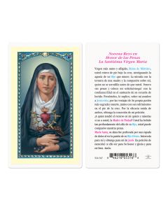 Novena Rezo en Honor de las Penas La Santisima Virgen Maria Holy Card